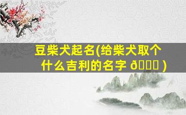 豆柴犬起名(给柴犬取个什么吉利的名字 🕊 )